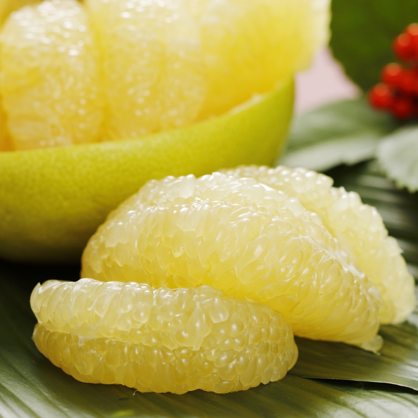 大阪 本町 思わずうっとり新感覚ぷるんっ『フルーツ水晶』は手土産にもおすすめ！シティリビングWeb