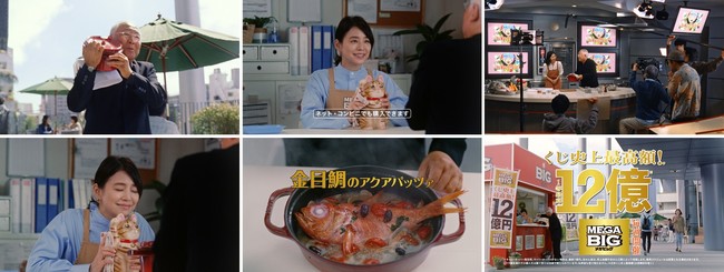 ご飯も食べないトイレもしない」 石田ゆり子、里親に預けた“保護猫”に緊急事態「新幹線に飛び乗りました」 1 2ねとらぼ