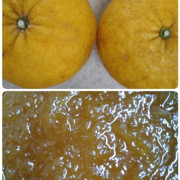 夏みかんジャムDM三井製糖株式会社