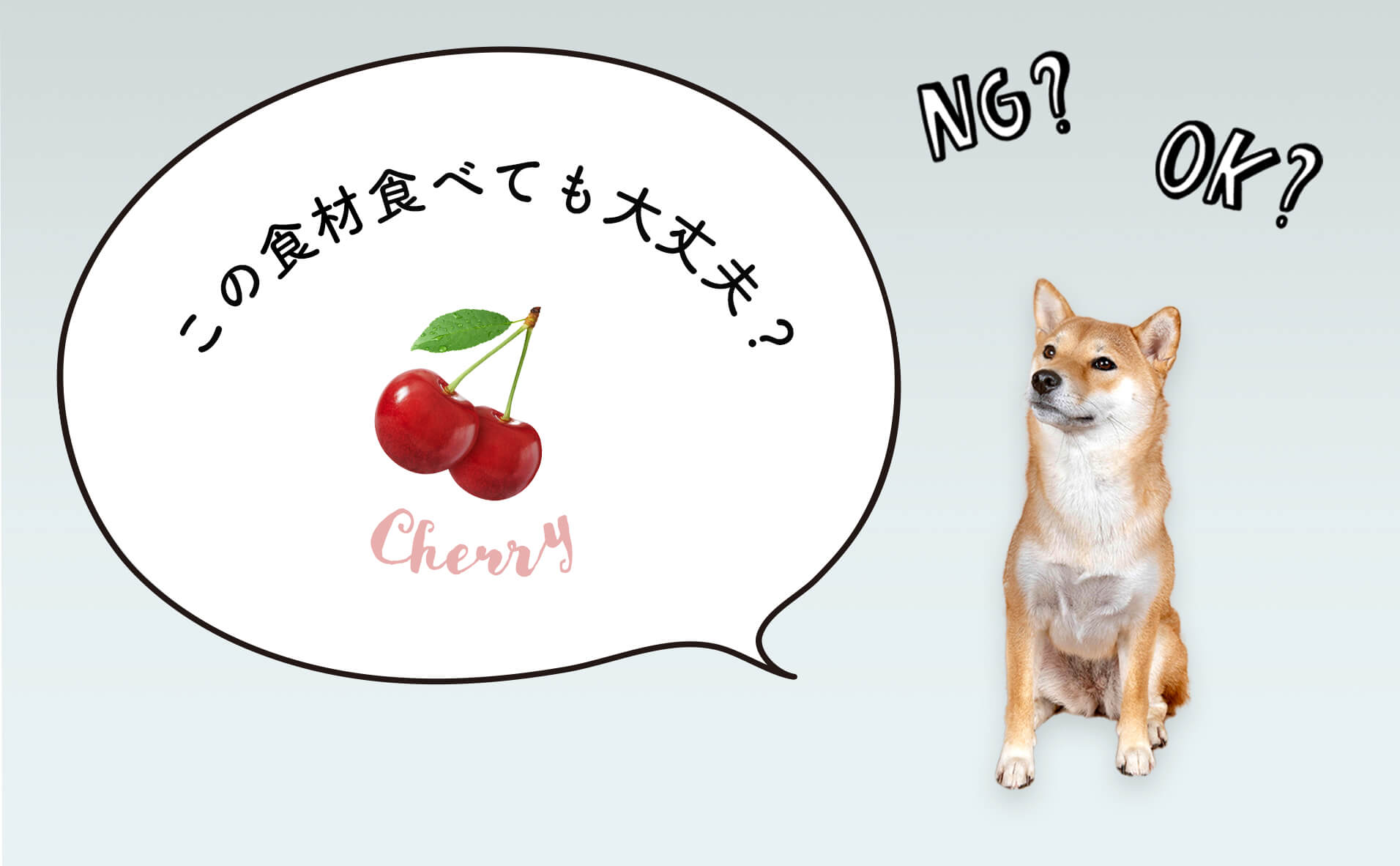 さくらんぼを正しく食べる！美味しく洗う方法から種の食べ方マナーまで産直プライムブログJA連携！産地直送通販なら産直プライム