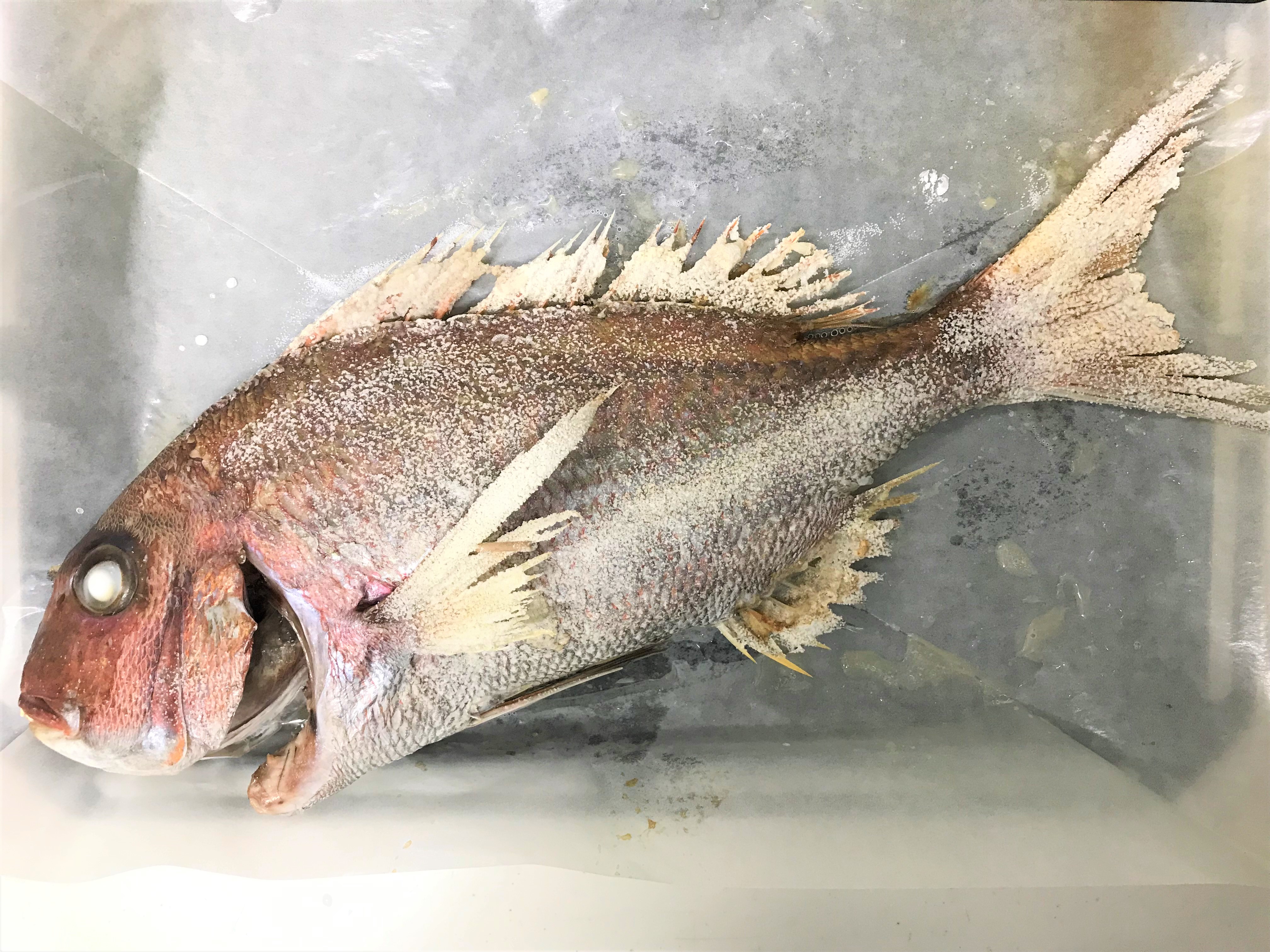 しほちゅん🐥 on X: 