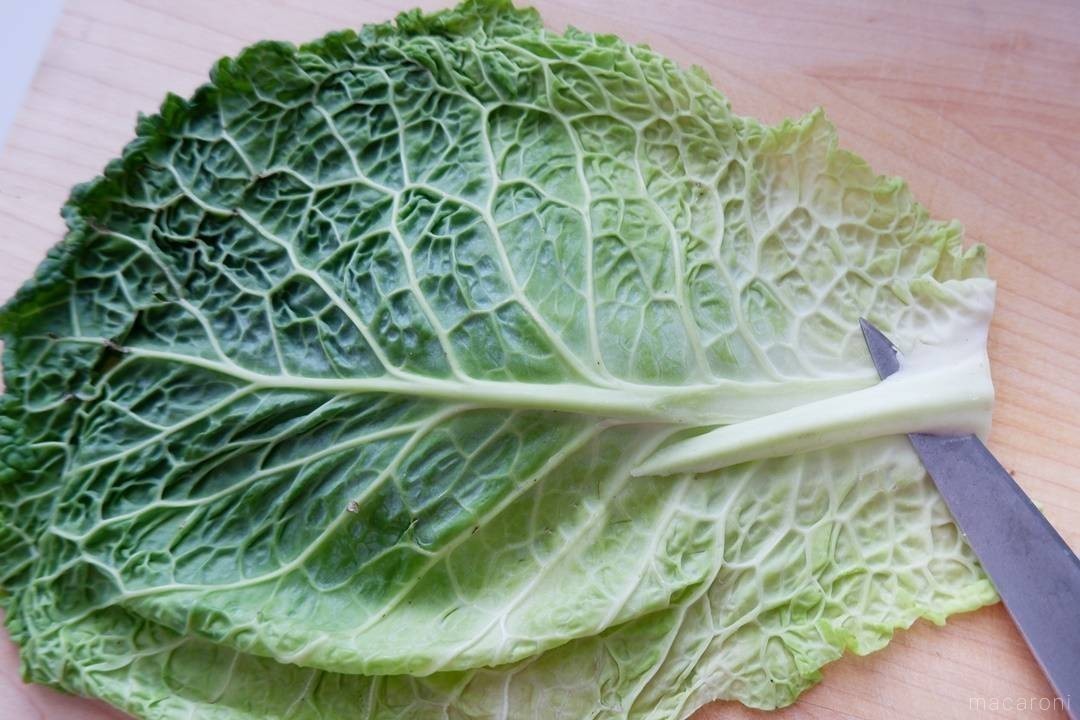 キャベツの芯の栄養＆切り方 葉以上に栄養がある！レシピ付きカゴメ株式会社