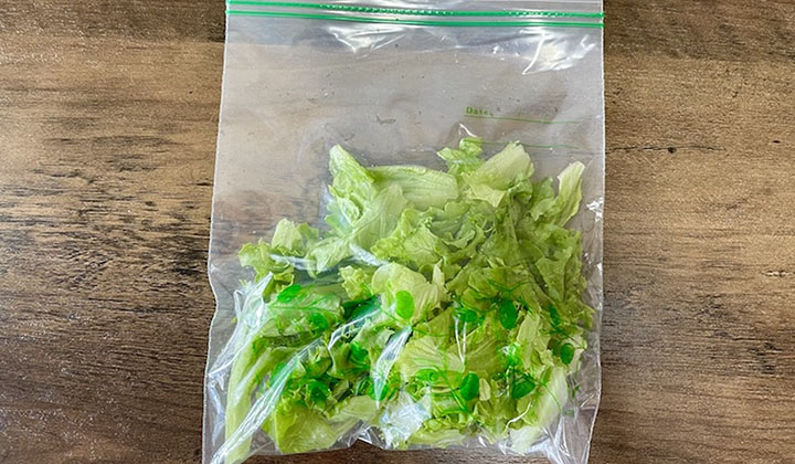 レタスの冷凍保存方法とレシピをご紹介 写真付きで解説！- 急速冷凍機の厳選比較サイト「春夏秋凍」