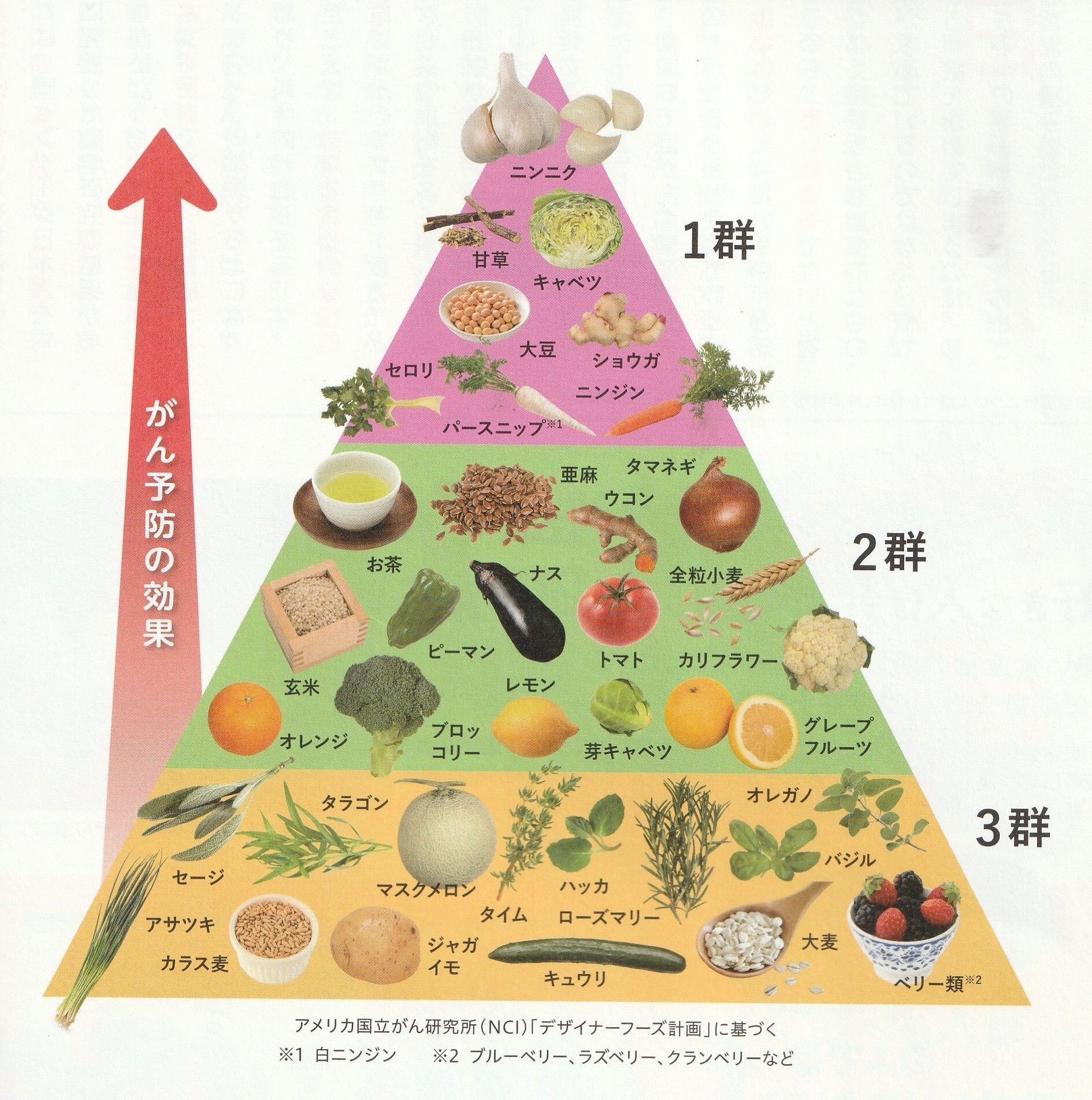 デザイナーフーズピラミッド