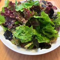 レタスを簡単に大量消費！だし揉みレタスラクするおとな暮らし