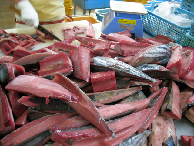 14 カツオ 切り身 Stock Photos, High-Res Pictures, and Images - Getty Imagesマグロ切り身