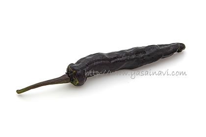 一代交配 緑鯨ししとうピーマン ししとう市川種苗店 公式オンラインショップ