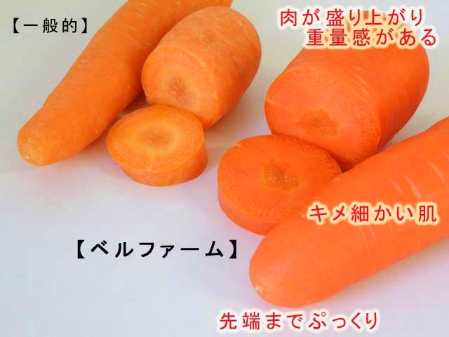 生のニンジンとトップ。 断面全体、スライス、半分 野菜、根菜、具、食品包装デザインエレメント、レシピ、メニュー。白いベクターイラストにフラットスタイルで分離」のベクター画像素材 ロイヤリティフリー1875792421Shutterstock