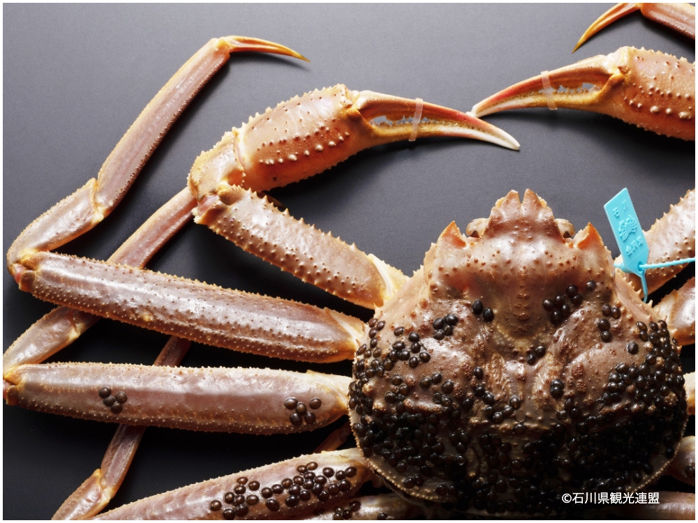 美味しいカニの見分け方株式会社中村商店