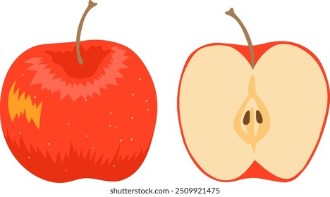 輪切りしたリンゴ」の写真素材408件の無料イラスト画像Adobe Stock