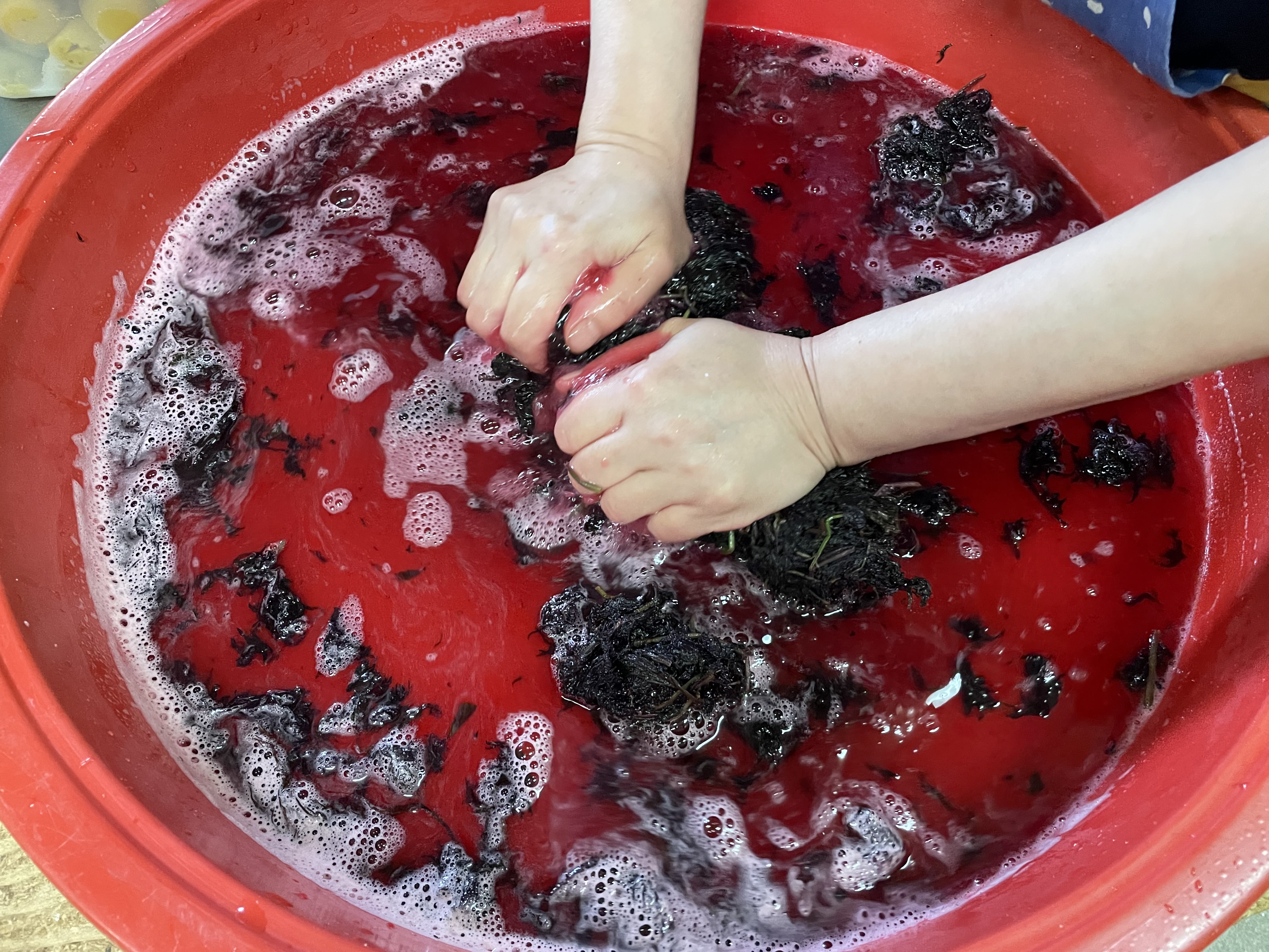 しそ梅干220g天長食品工業株式会社 漬物製造 食品販売 愛知県稲沢市