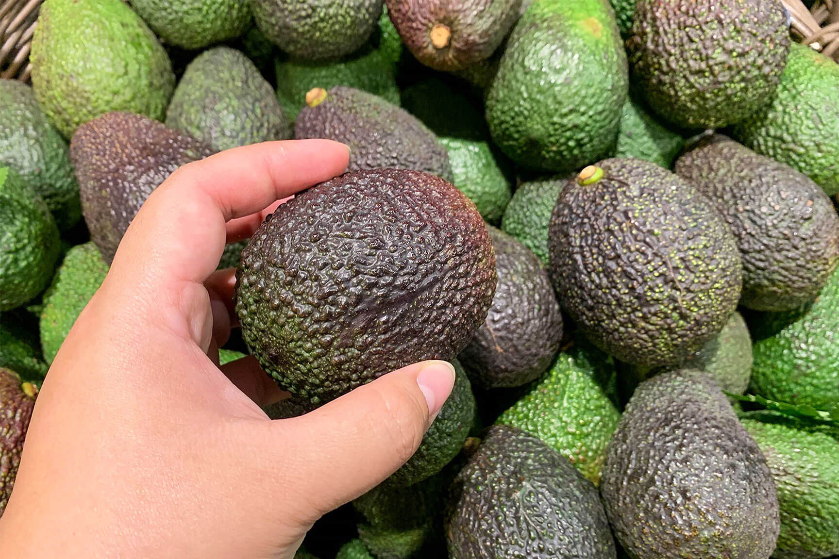 おいしいアボカドの選び方・見分け方 実際に食べた結果