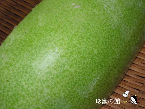 冬瓜は大きく分けると二種類あるって知ってた？ - 新・珍獣様のいろいろ