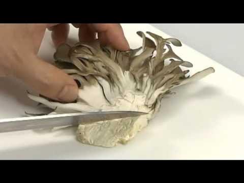 まいたけ」の石づきはどこで切るのが正解？名古屋グルメ ぱるとよ