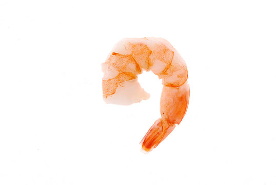 えび」の141万点のロイヤリティフリー画像、写真素材、絵Shutterstock