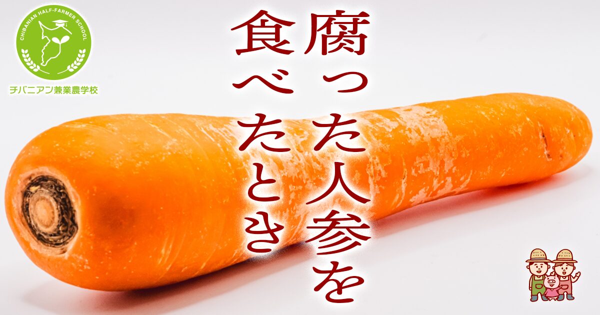 こんなにんじんは選んじゃダメ！鮮度の落ちたにんじんの特徴と見分け方6選！生活知恵袋