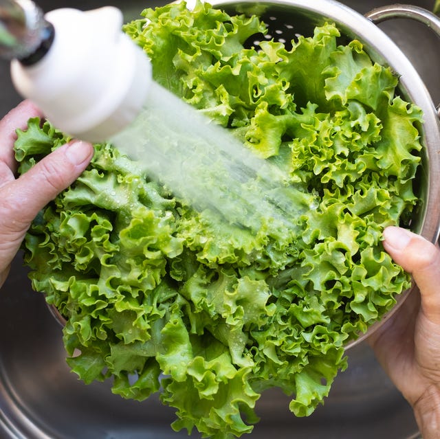 ありえないシャキシャキ感！ 30円のもやしがごちそうになる魔法の洗い方 画像35 55- レタスクラブ