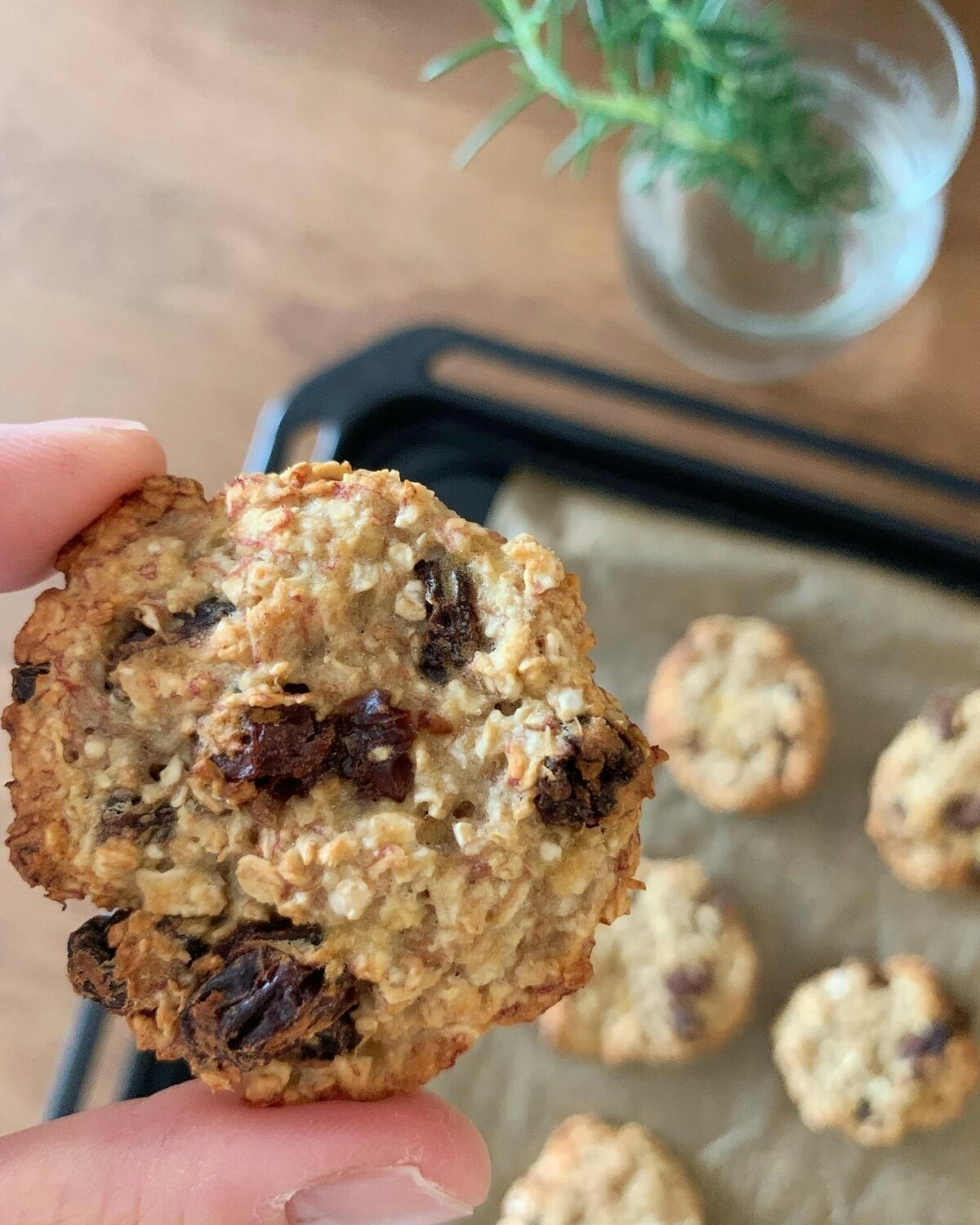 レンジで簡単！5分で作れる犬用オートミールクッキー。卵・砂糖・バター不使用のおやつアレンジ カインズ愛犬レシピ ワンクォール