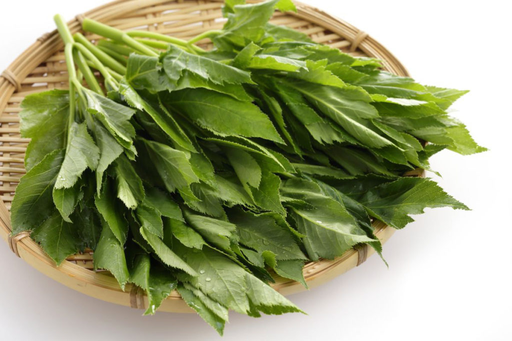 明日葉の天ぷら旬を味わう お手軽レシピ JAグループ