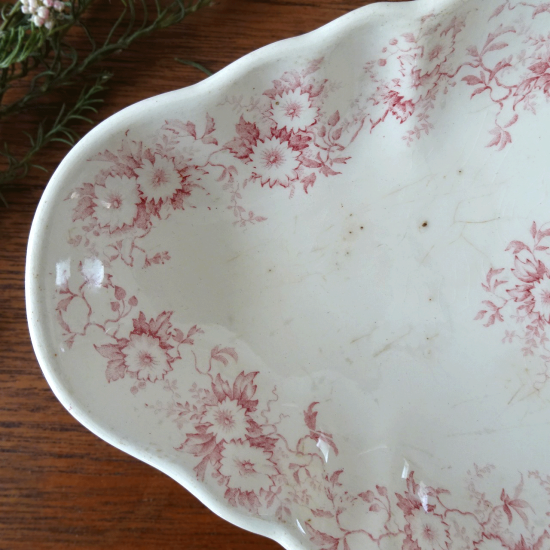 ショワジールロワ 『BRIENNE』 ラヴィエ 前菜皿 フランスアンティーク食器 ブロカント