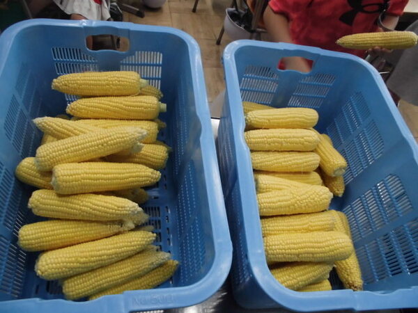 とうもろこしの皮むき 写真素材2723133- フォトライブラリ