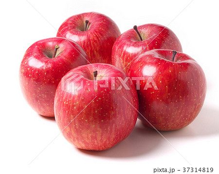 バラ科の果物一覧身近で見られる種類から野イチゴや野菜、ハーブまでLOVEGREEN ラブグリーン