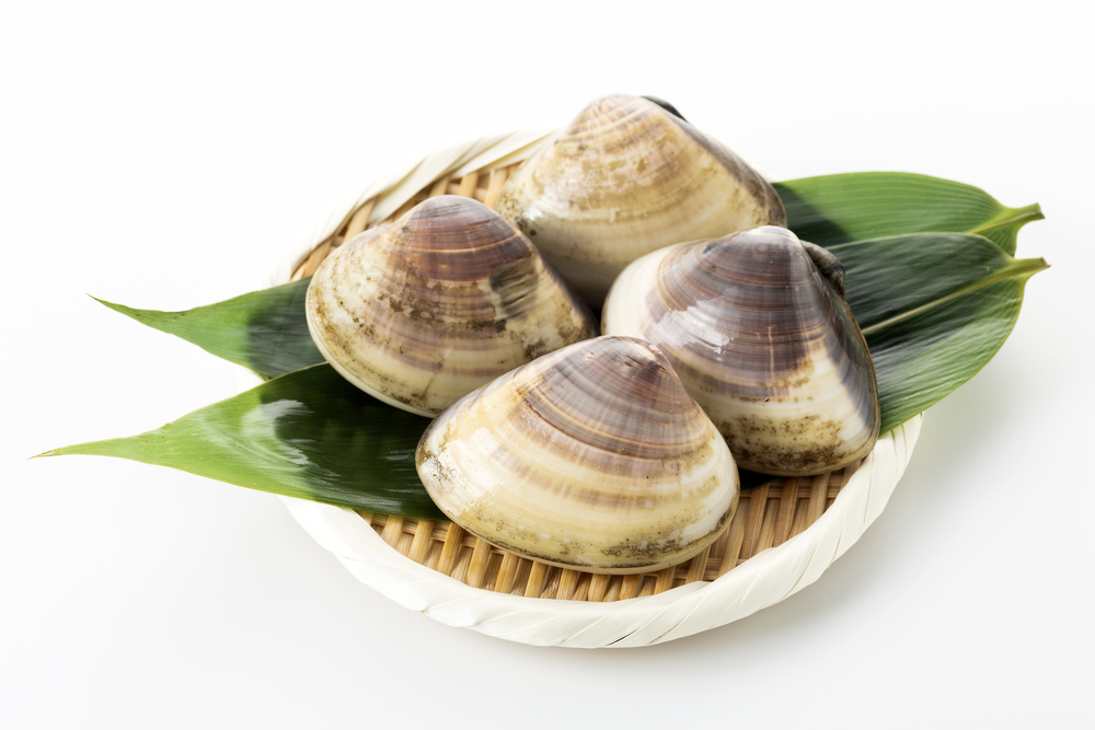 ハマグリの旬を楽しむ！ 美味しいハマグリの見分け方と保存方法 - 旬の食材の調理法や保存方法で、おうちごはんがもっと美味しくなる