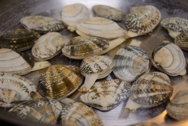 あさりの砂抜きの仕方コープのにこにこレシピコープデリ連合会