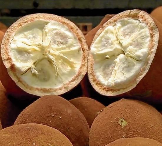 マイマイ🐰🍣🌙 on X: 