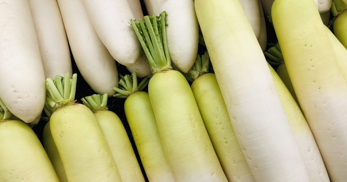 管理栄養士が解説 大根が苦い原因はなに？苦味を取る方法と、おすすめの活用方法 - トクバイニュース