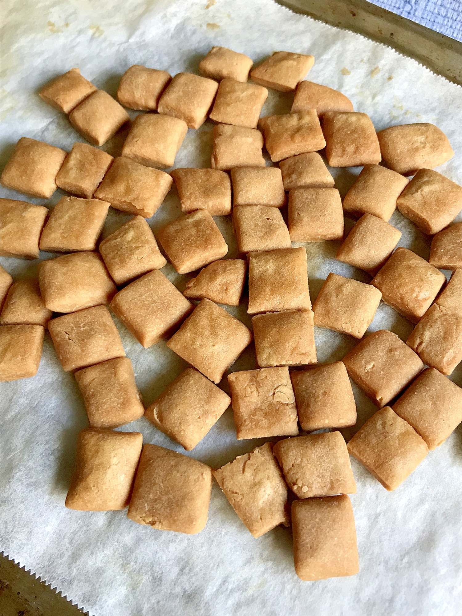 犬の手作り・おやつレシピ カルシウムクッキーアイリスプラザ_メディア