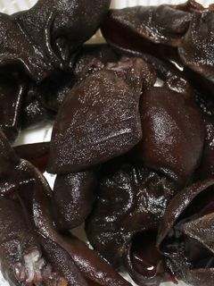 生きくらげ」のレシピを12選！保存方法もしっかり覚えよう - macaroni