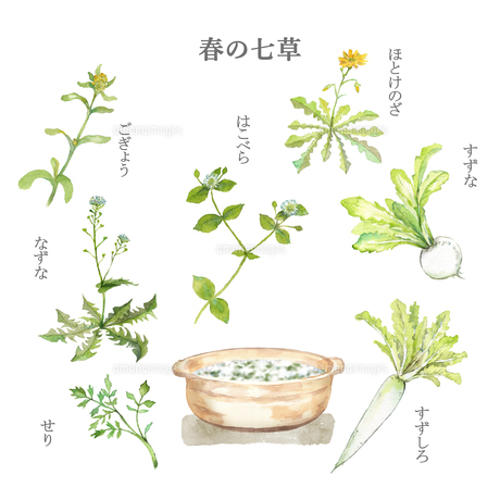 七草粥の無料イラスト