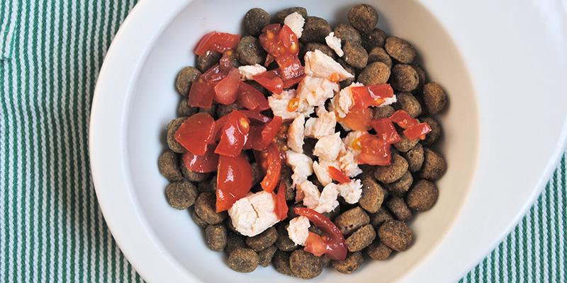 ドッグフード トッピング 無添加手作り 国産チキンミートローフ 100g10パックバリューセットドッグフード 手作り食 犬用ごはん 犬 ごはん ごはん 犬用 ウェットフード ドッグフード 無添加 鶏肉 チキン 国産 トッピング 国産・無添加 ドッグフード・犬