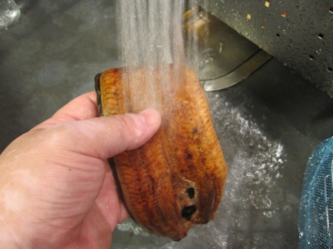 試してみた 市販の“うなぎの蒲焼き”を水洗いしたら本当に美味しくなった！クックパッドニュース