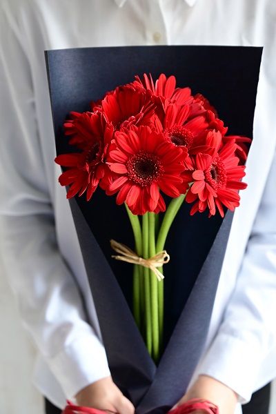 ガーベラの花言葉は？贈り物に最適な色や本数をお教えします – Atelier Frontier