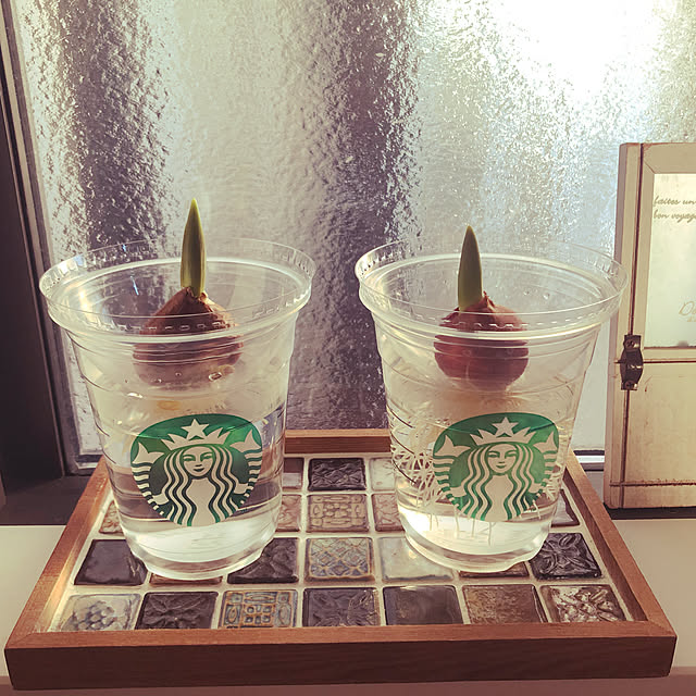 これ捨てないで！スタバのあれこれ丸っと活用術♪正直スタバに頻繁に行かない方なので、行った時はなんか特別感があってカップも可愛いしなぜか捨てられないんですよね 笑ということで、カップとスリーブを丸っと活用してみました！是非保存してやってみてね^^スタバスターバックス裏技裏ワザ 暮らしのアイデア生活の知恵主婦の知恵ライフハック便利活用