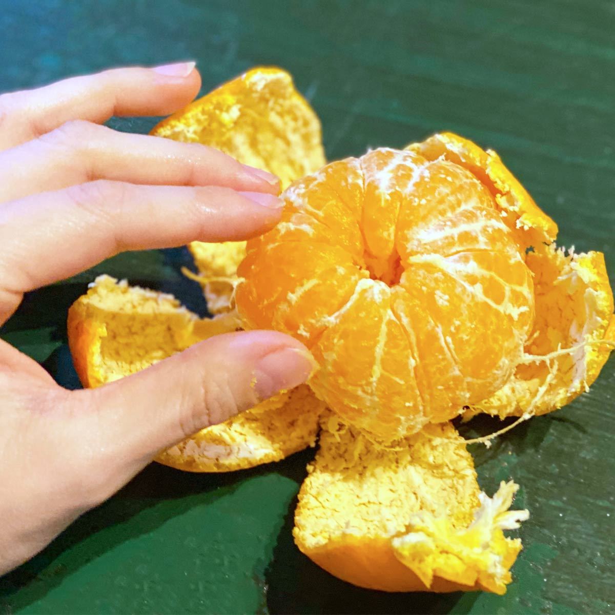 衝撃映像！みかんの皮アート集めてみた！ 衝撃映像！みかんの皮で作ったアートがすごいんですけど！ くろねこチャンネル