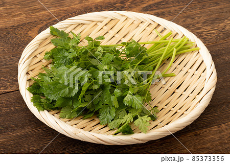チャービル セルフィーュイタリアンパセリの写真素材85373356- PIXTA