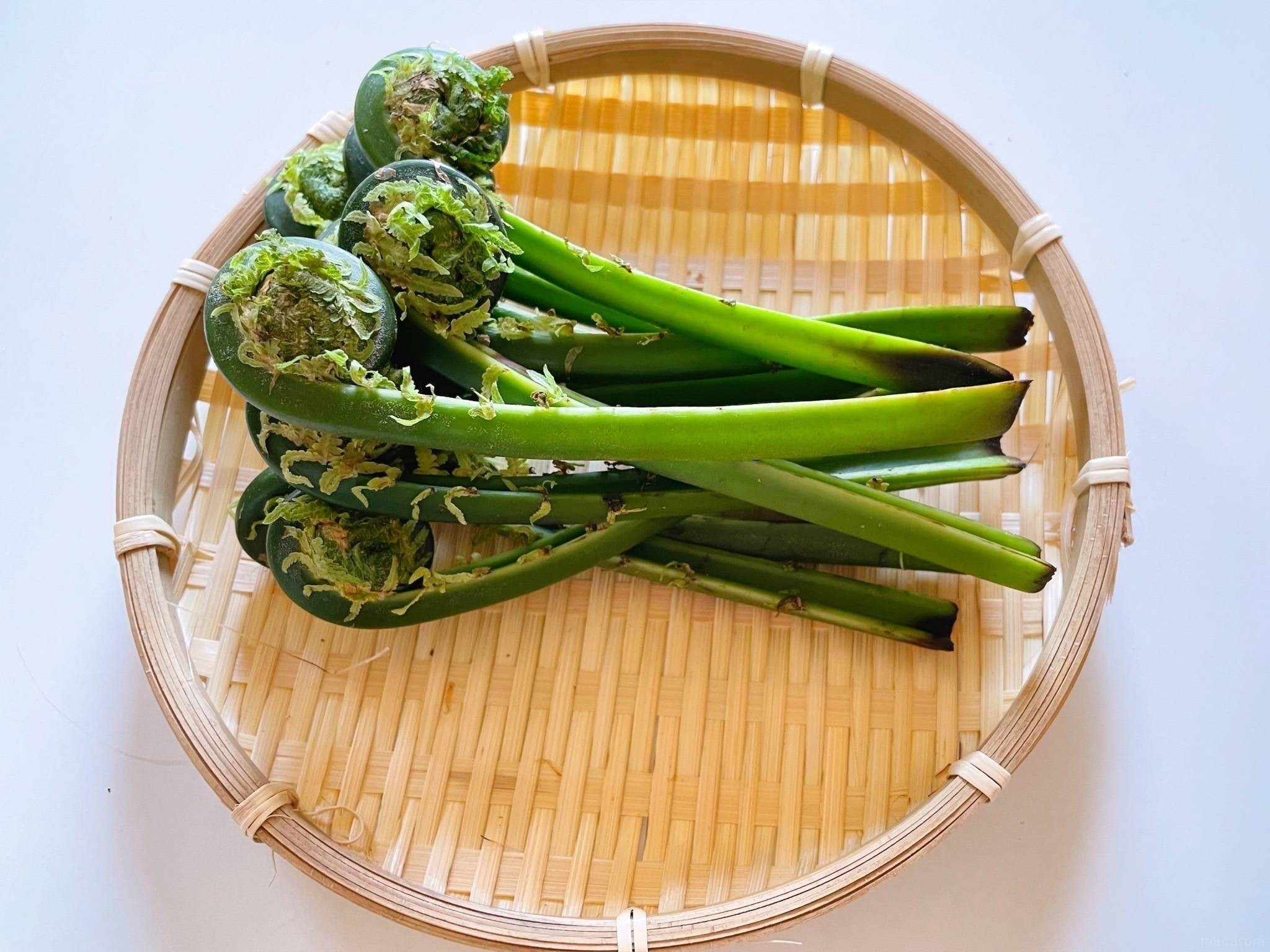 こごみのクルミ和えの作り方 春の山菜 春の簡単天ぷら edible wild plantCoris cooking