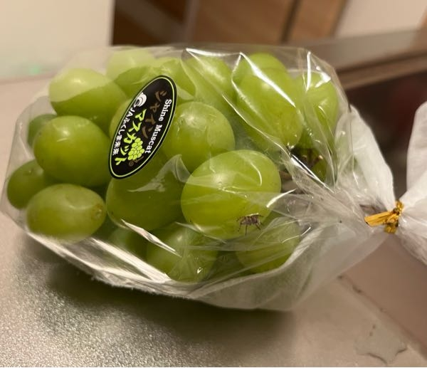 シャインマスカットの害虫5☆実が茶色に!チャノキイロアザミウマの消毒魔法の便利帳