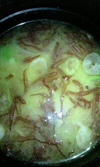 海藻の味噌汁 - 365杯の味噌汁具材を生かす美味しいレシピフンドーキン醤油株式会社