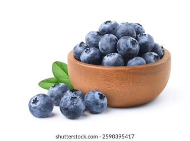 青色・紫色の果物一覧20選和名と英語名ごがくねこ