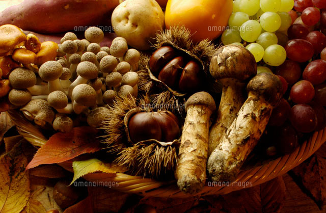 食材・料理や野菜・果物のフリー写真素材 無料画像のフード・フォト