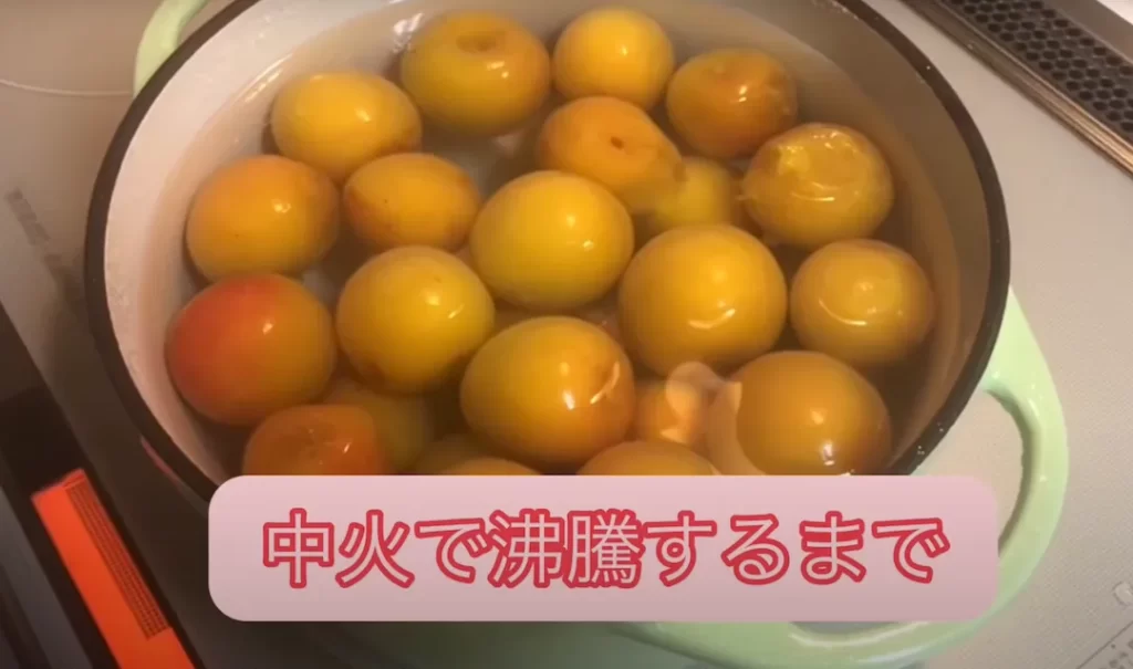冷凍梅 を使って梅ジャム作り 簡単、すぐにできる！梅干梅子の365日梅ＬＩＦＥ