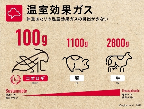 コオロギ食 昆虫食 が世界の食料不足を救う！？栄養価の高さ、商品事例をご紹介します。ショクビズ