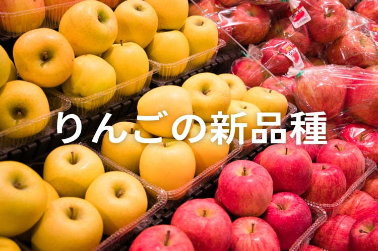 復活する“おいしいリンゴ”ナショナル ジオグラフィック日本版サイト