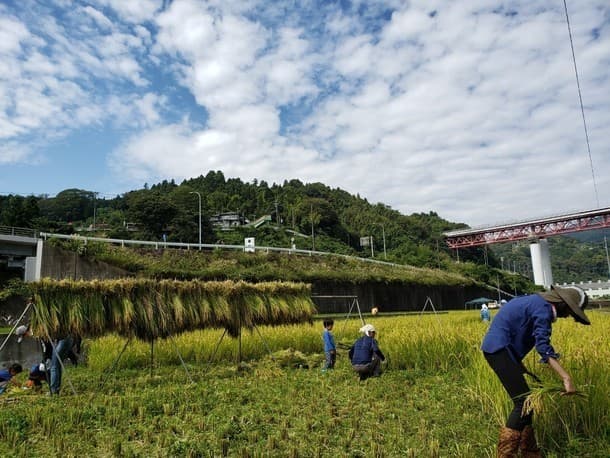 あいの風にのせて』-9月の言葉”はざ”-weave