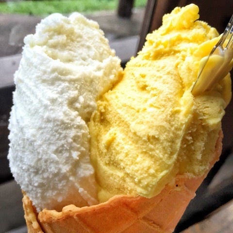 日野市百草園ジェラートアルティジャーノ・ジェラテリア P3台