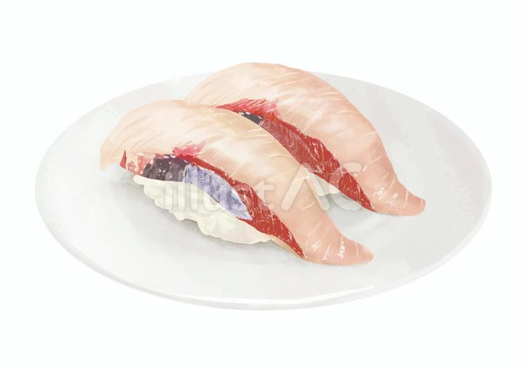 寿司大トロをリアルに描いてみた。イラスト メイキング